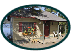 Modern Cabin