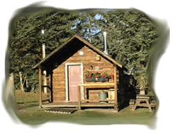 Rustic Cabin